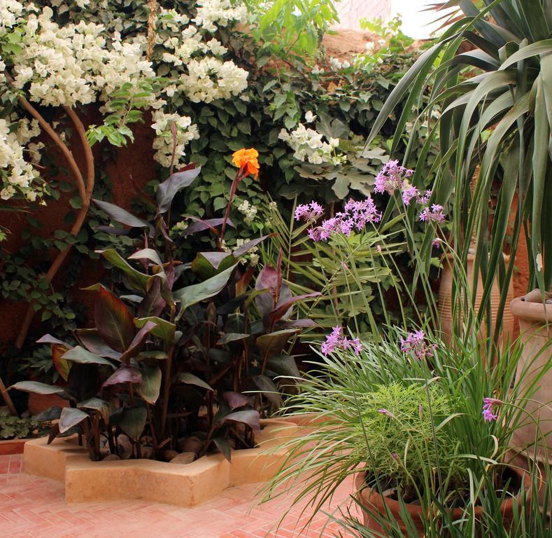 Tifawin Home And Garden Мирлефт Экстерьер фото